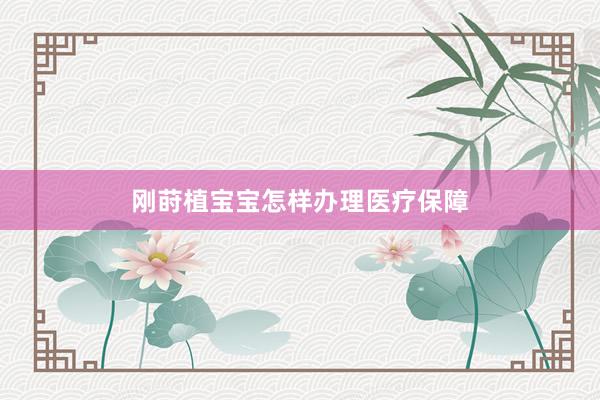 刚莳植宝宝怎样办理医疗保障