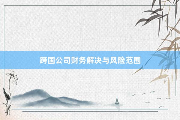 跨国公司财务解决与风险范围